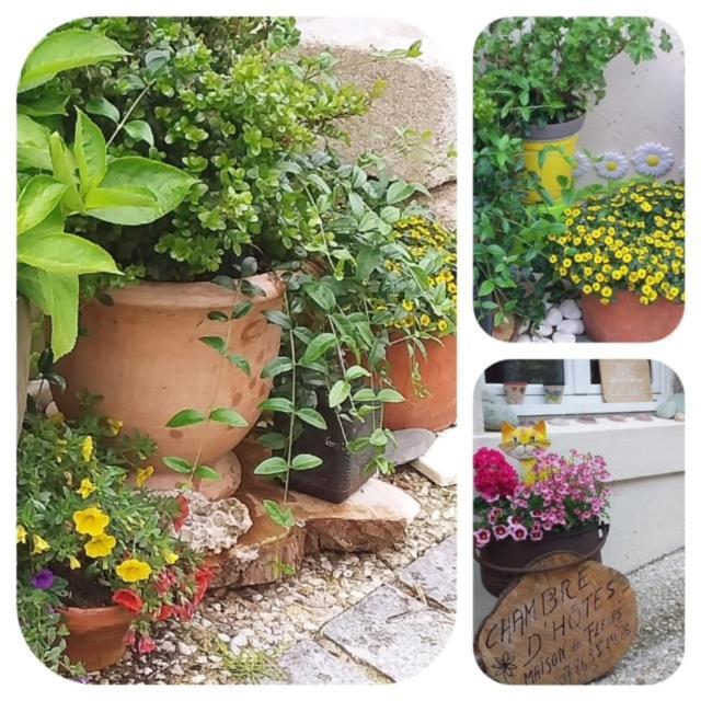 La Maison Des Fleurs Scrignac Buitenkant foto